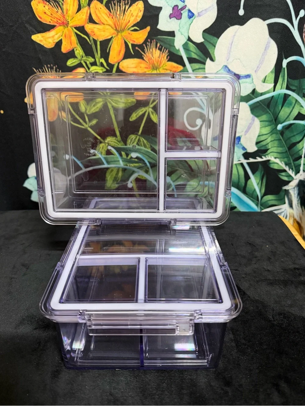 Clear Bento Box food storage container- 2 pack